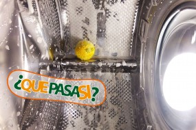 &iquest;Qu&eacute; Pasa Dentro de una Lavadora?