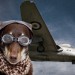 ¿Qué Pasa Si Quiero llevar Mi Perro en Avión?