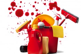 &iquest;Qu&eacute; Pasa Si Quiero Limpiar Manchas de Sangre?